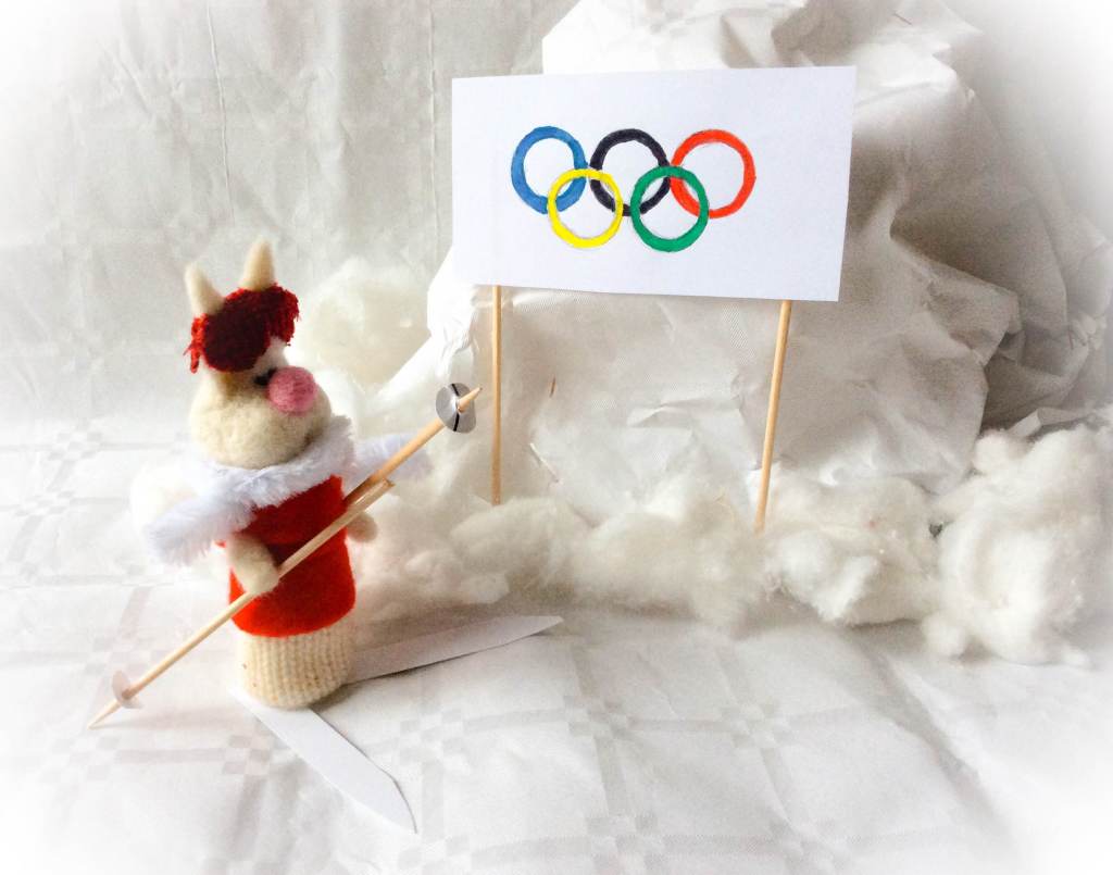 Les Jeux Olympiques&nbsp;d&rsquo;hiver.