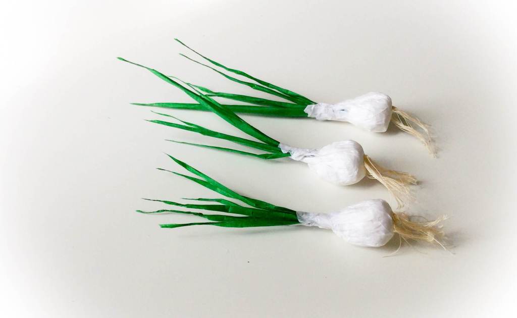 DIY Oignon verte en&nbsp;papier.